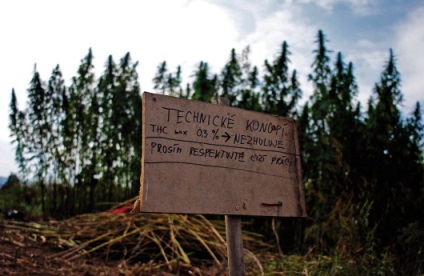 Фотозвіт технічного аутдору по вирощуванню каннабіса- growerland