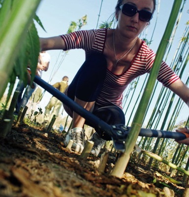 Фотозвіт технічного аутдору по вирощуванню каннабіса- growerland