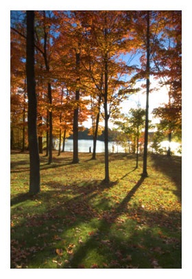Photojournal ho, szűrők, Dmitry hengerek - a diffúz és homályos szűrők (diffúzió) Photojournal ho, szűrők, Dmitry hengerek - a diffúz és homályos szűrők