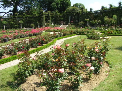 Francia rózsakert lay-les-Roses, ország tervezési ötletek és tippek az otthoni és kerti (MDL-les-Roses) Francia rózsakert lay-les-Roses, ország tervezési ötletek és tippek az otthoni és kerti