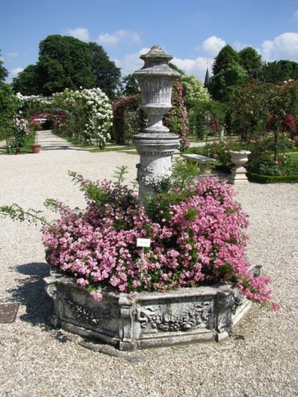 Французький розарій лей-ле-роз, заміський дизайн ідеї та поради для дому та дачі