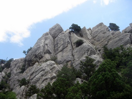 Планински котка в Simeiz