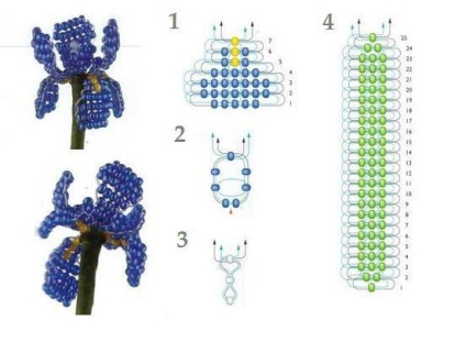 Ірис з бісеру майстер-клас і схема плетіння