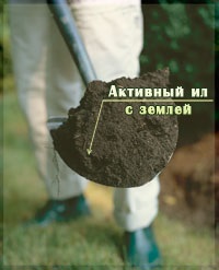 Використання, утилізація переробленого активного мулу на дачній ділянці