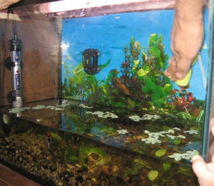 Як чистити домашній акваріум своїми руками, майстер на всі руки