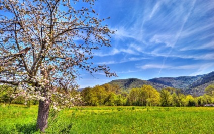 Cum să faceți fotografii ale peisajului de primăvară, faceți o fotografie