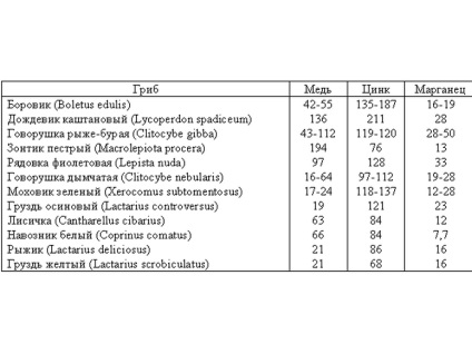 Cum să gătești ciuperci uscate pentru supă sau cartofi