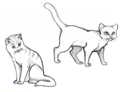 Як намалювати котів-воїнів - поетапне опис