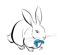 Як намалювати кролика олівцем поетапно