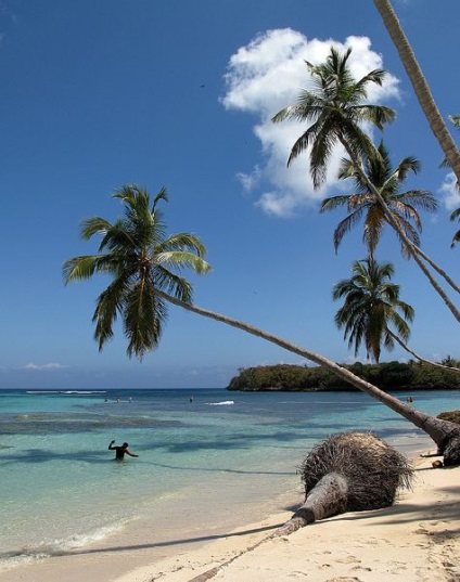 Ce limbă este Dominicană vorbită în Dominicani?