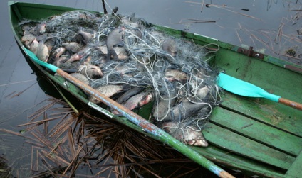 Cum să prindeți o mulțime de pești pe net (cum să pui plase de pescuit)