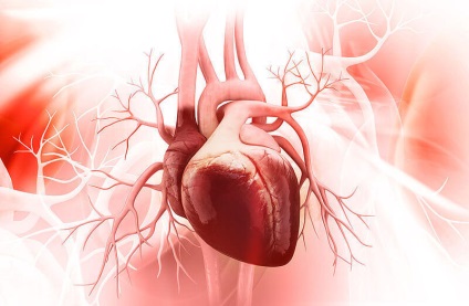 Як запобігти синдром розбитого серця