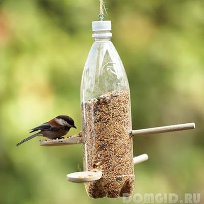 Cum să faci un alimentator pentru păsări pe teren cu propriile mâini