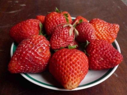 Cum să aibă grijă de căpșuni pentru a face fructe de mare mari! Lumea femeilor
