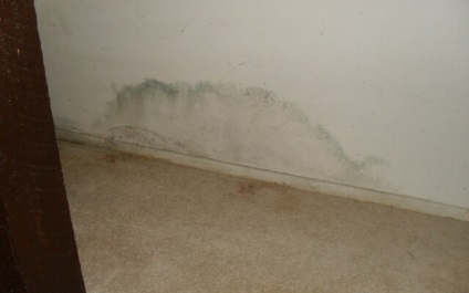 Cum să eliminați mucegaiul pe pereți