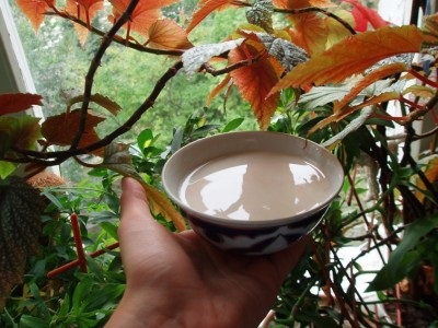 Compoziția de ceai Kalmyk, proprietăți utile și rețete de gătit