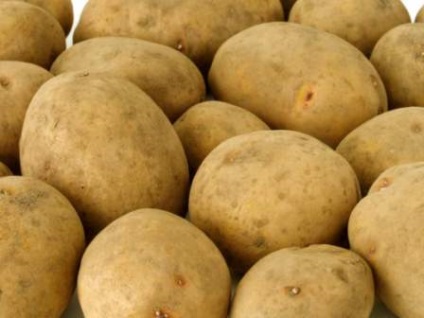 Potato Scarb Descrierea soiului, foto