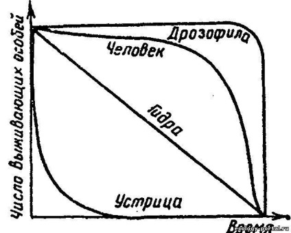 Klasszikus Ecology (Ökológia) klasszikus ökológia