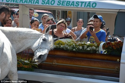 Calul a venit la înmormântarea proprietarului