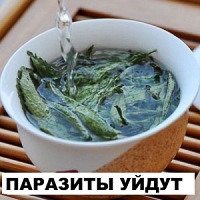 Котяча двуустка (сисун сибірський) симптоми, лікування, фото