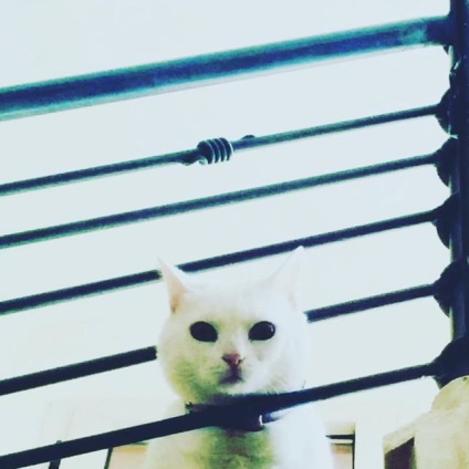 Holt-tengeri kozmetikumok @bella_and_donna Instagram profil picbear (halott) Holt-tengeri kozmetikumok @bella_and_donna Instagram profil picbear