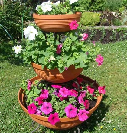 Paturi de flori frumoase de petunias sunt patru moduri originale de a crea