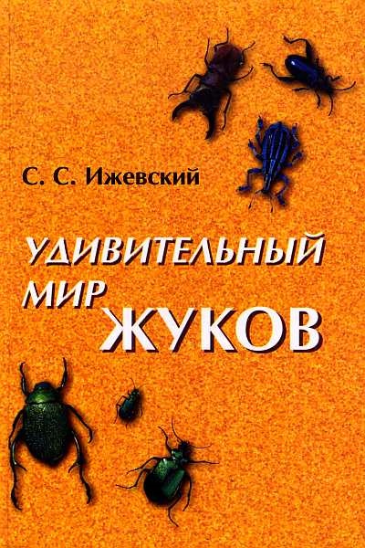 Красотел пахучий, або мускусний жук, або великий куколковий мисливець-бандит (calosoma sycophanta l