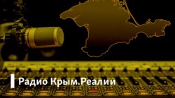 Кримчани будуть страждати від комарів, поки не запрацює північно-кримський канал - еколог