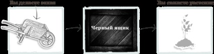 Купити насіння огірок боровичок f1 10 шт за найкращою ціною з доставкою по Москві і рф