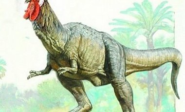 Курозавр вчені почали перетворення курки в динозавра