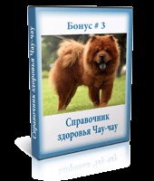 Cursul de pregătire a chow-chow acasă