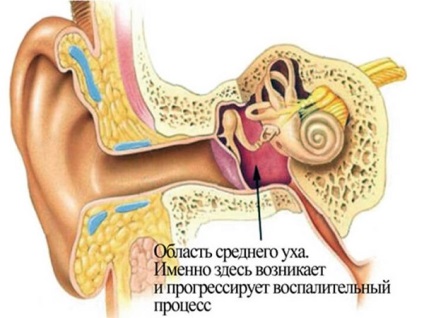 Лікування захворювань ЛОР-органів остеопатії - центр - остеопат