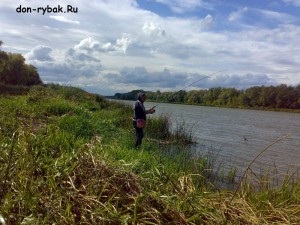 Ловимо хижака з берега на джиг, рибалка на дону