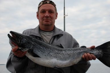 Ловля атлантичного лосося як і де зловити велику рибу