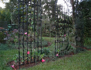 Forme mici arhitecturale pergole forjate, canopies, trellises, arbours, rotundas, vase de flori