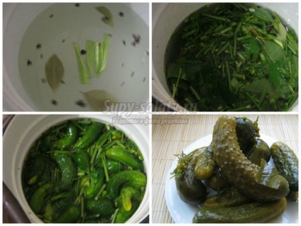 Малосольні огірки швидкого приготування покрокові рецепти з фото