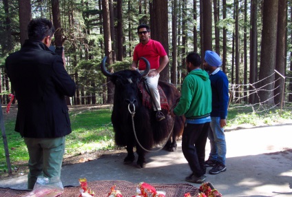 Manali este o stațiune montană în mijlocul Himalaya