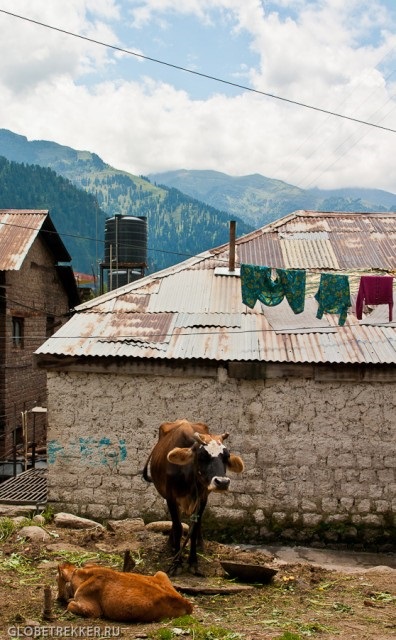 Manali - hogyan juthatunk el oda, ahol élnek, és mit kell csinálni utazni magad hogyan lehet, hogy nézd,