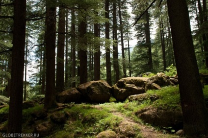 Manali - hogyan juthatunk el oda, ahol élnek, és mit kell csinálni utazni magad hogyan lehet, hogy nézd,