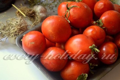 Marinate tomate - arici - cu usturoi pentru rețeta de iarnă cu o fotografie