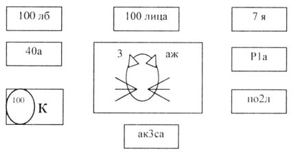 Sărbători matematice în școala primară