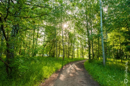 Minsk siesta în Sevastopol ca în pădure, revista despre Minsk