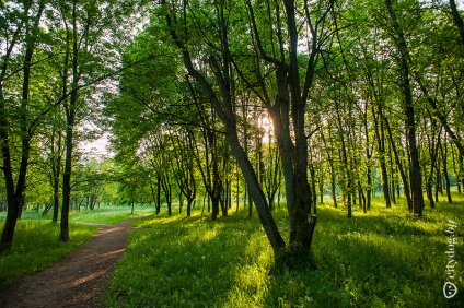 Minsk siesta în Sevastopol ca în pădure, revista despre Minsk