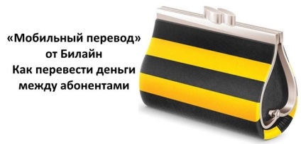 Мобільний переклад »від билайн як перевести гроші між абонентами оператора