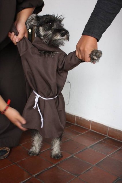 Mănăstirea a adoptat un câine fără adăpost