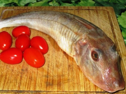 Sea Cock in Tomato - retete cu fotografie