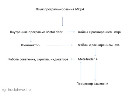 Mql4 pentru introducerea începătorilor în editorul de cod metaeditor