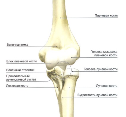 MRI a könyök az előírt és hogyan kell felkészülni