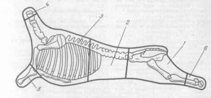 Carne de ovine (miel)