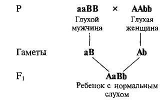 Спадкування груп крові системи АВ0 - студопедія